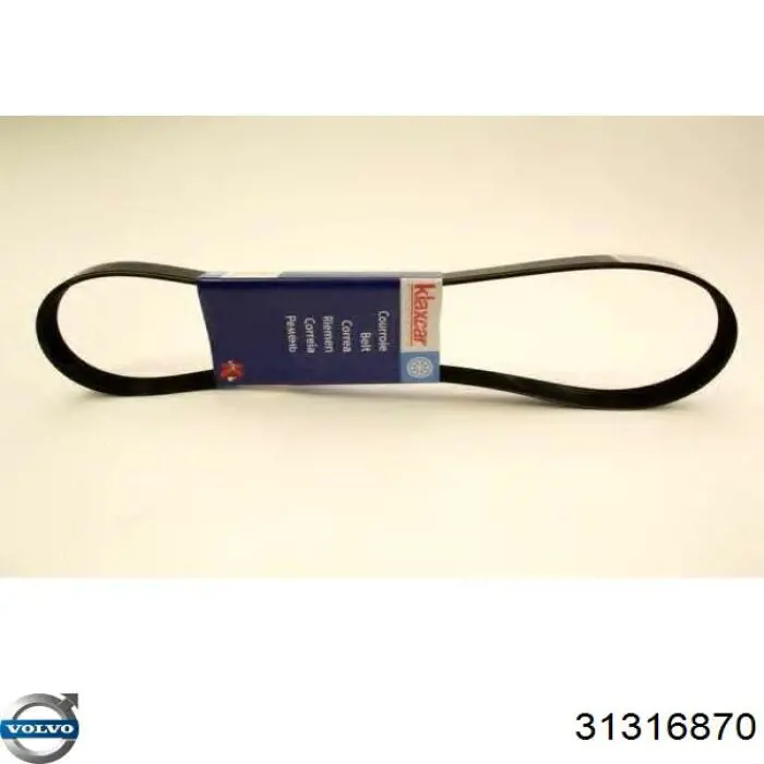 Купить 31316870 Volvo Ремень генератора