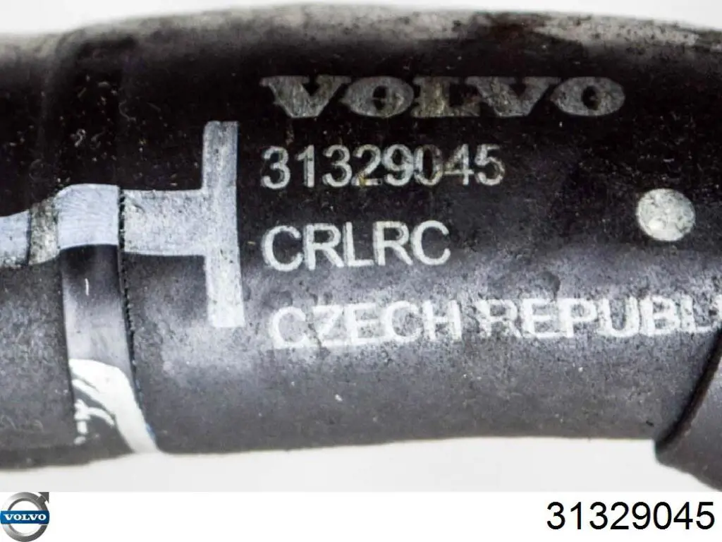  31329045 Volvo