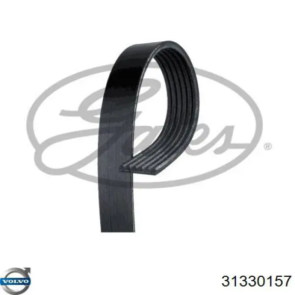 31330157 Volvo Поликлиновый ремень