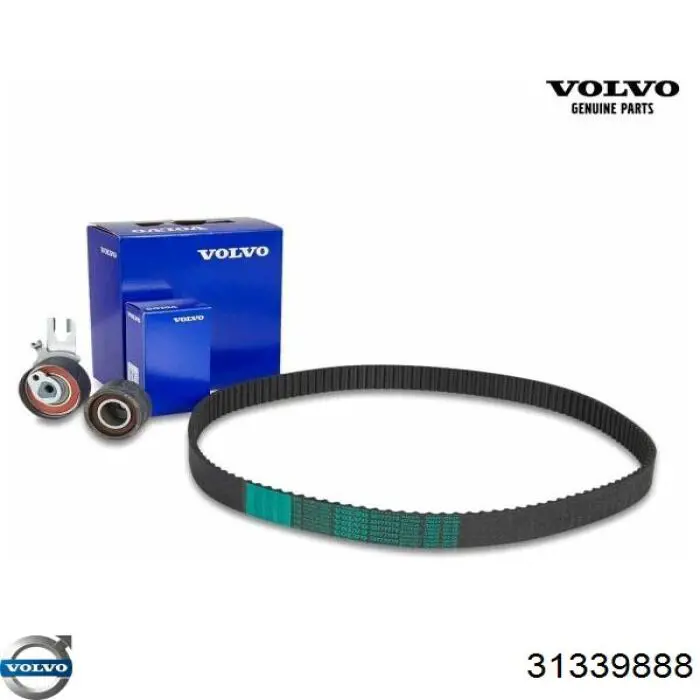 ГРМ ремни, комплект Volvo 31339888 цена, от 80.17 USD