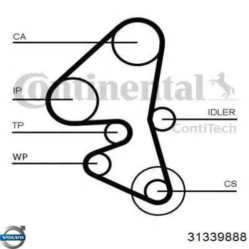 ГРМ ремни, комплект Volvo 31339888 цена, от 80.17 USD