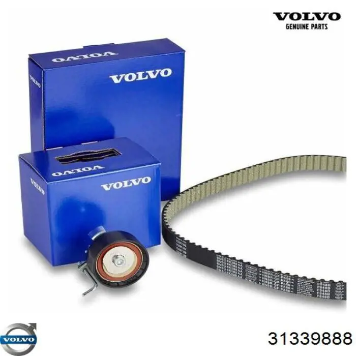 Купить 31339888 Volvo Комплект ГРМ