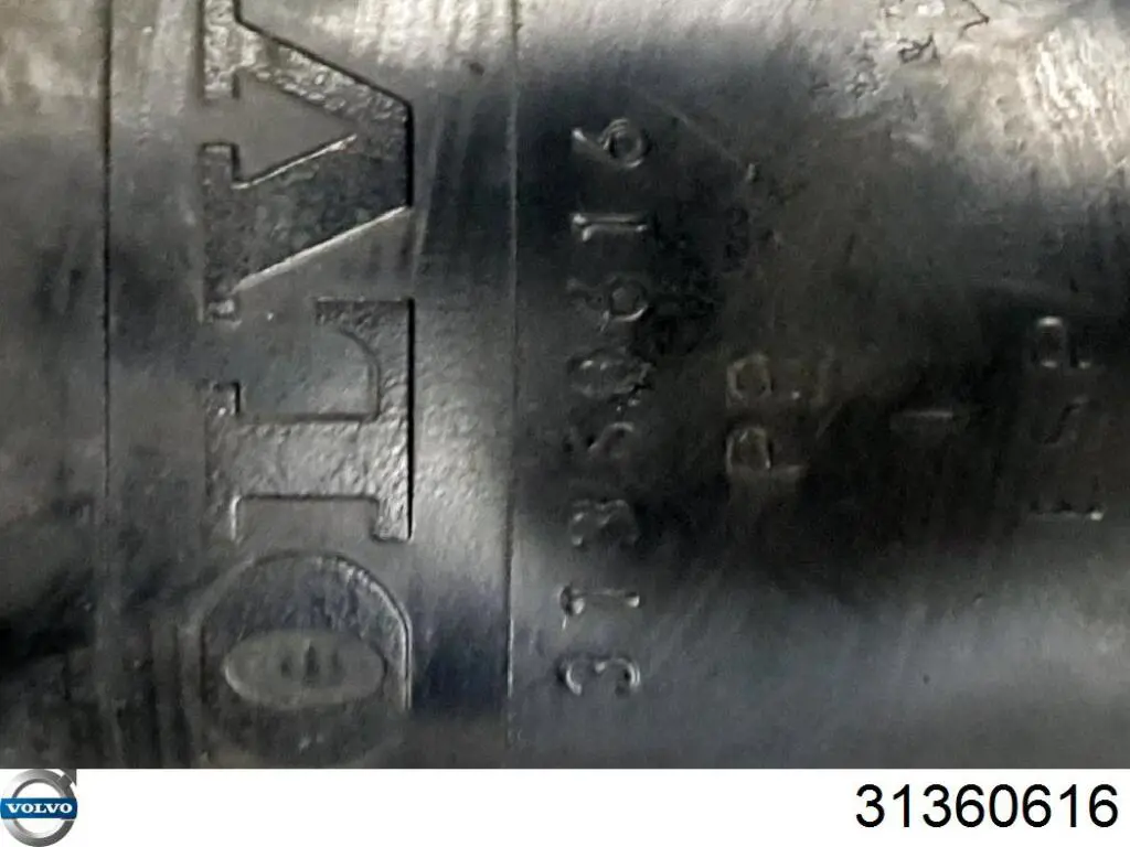 31360616 Volvo Пыльник заднего амортизатора
