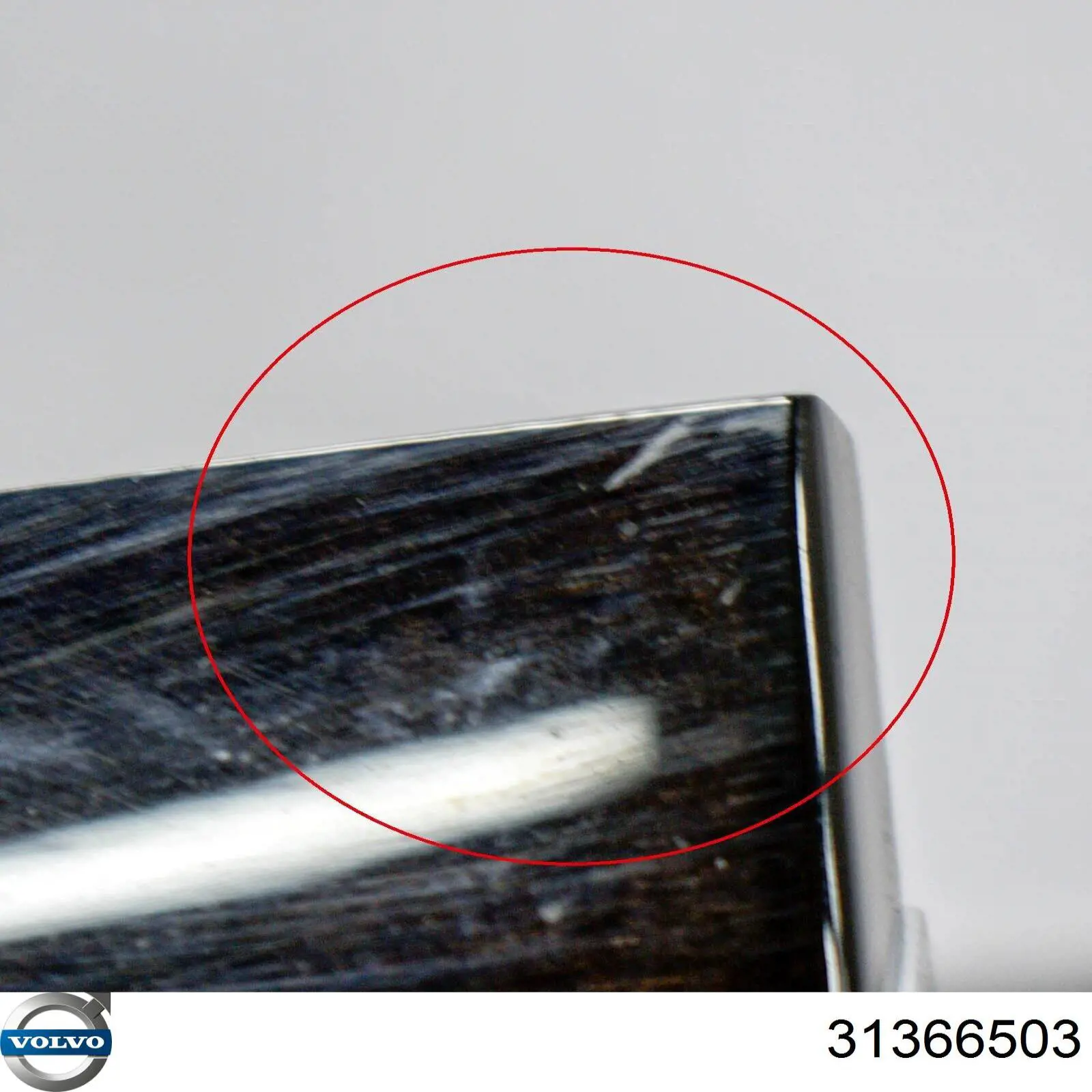  31366503 Volvo