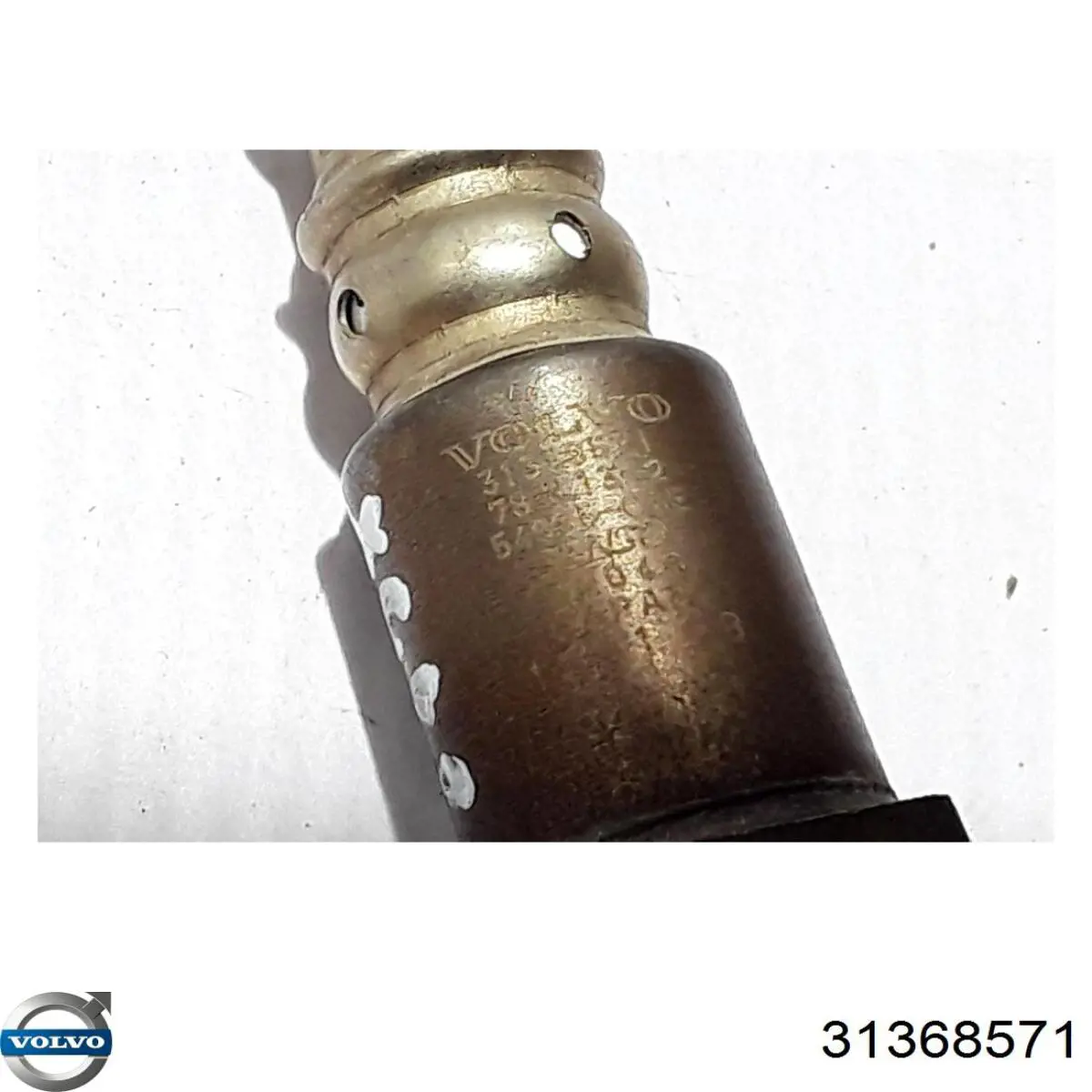 31368571 Volvo 