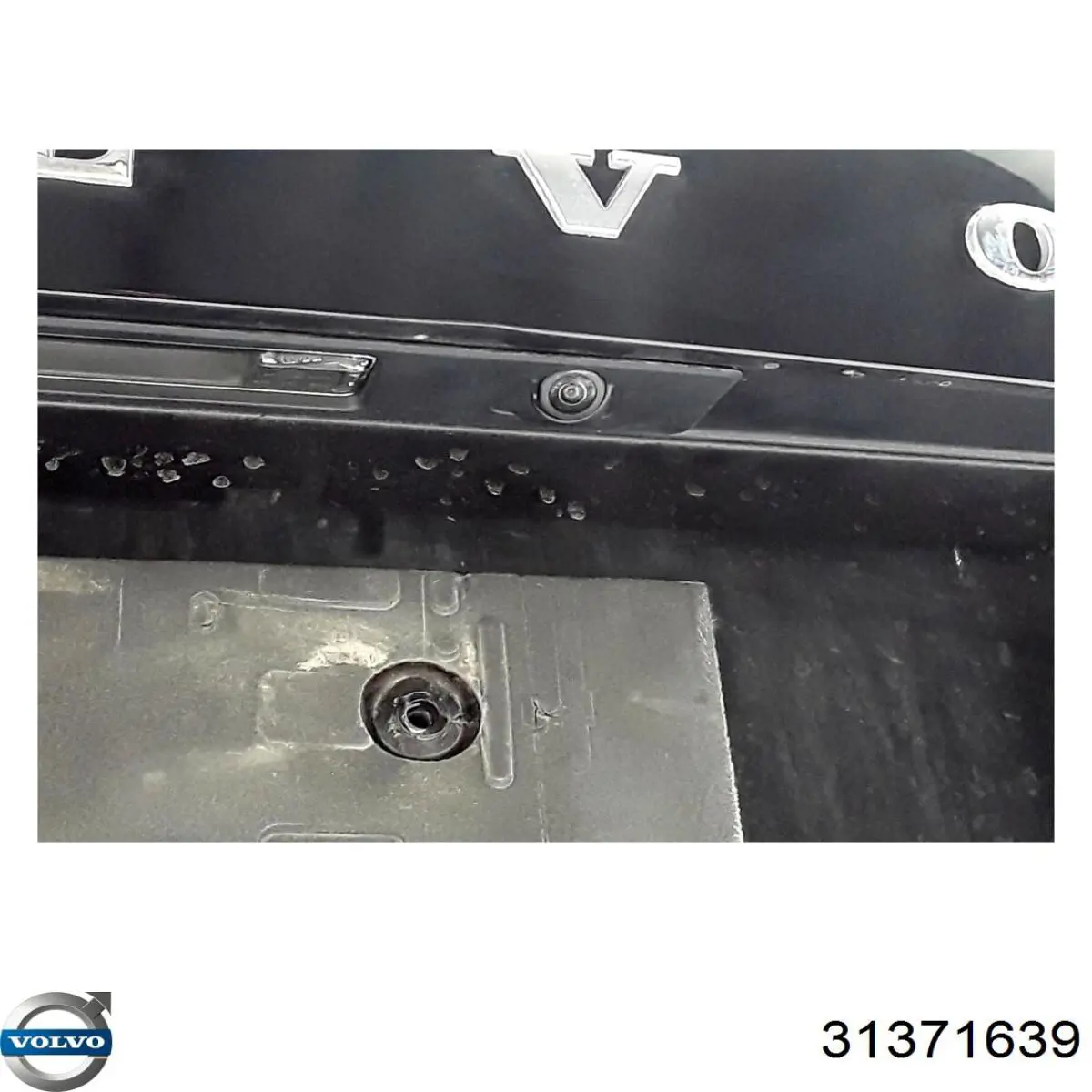 Купить 31371639 Volvo Дверь задняя багажная