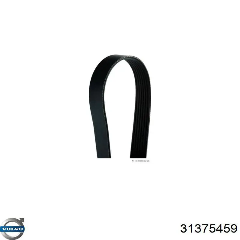 Купить 31375459 Volvo Ремень генератора