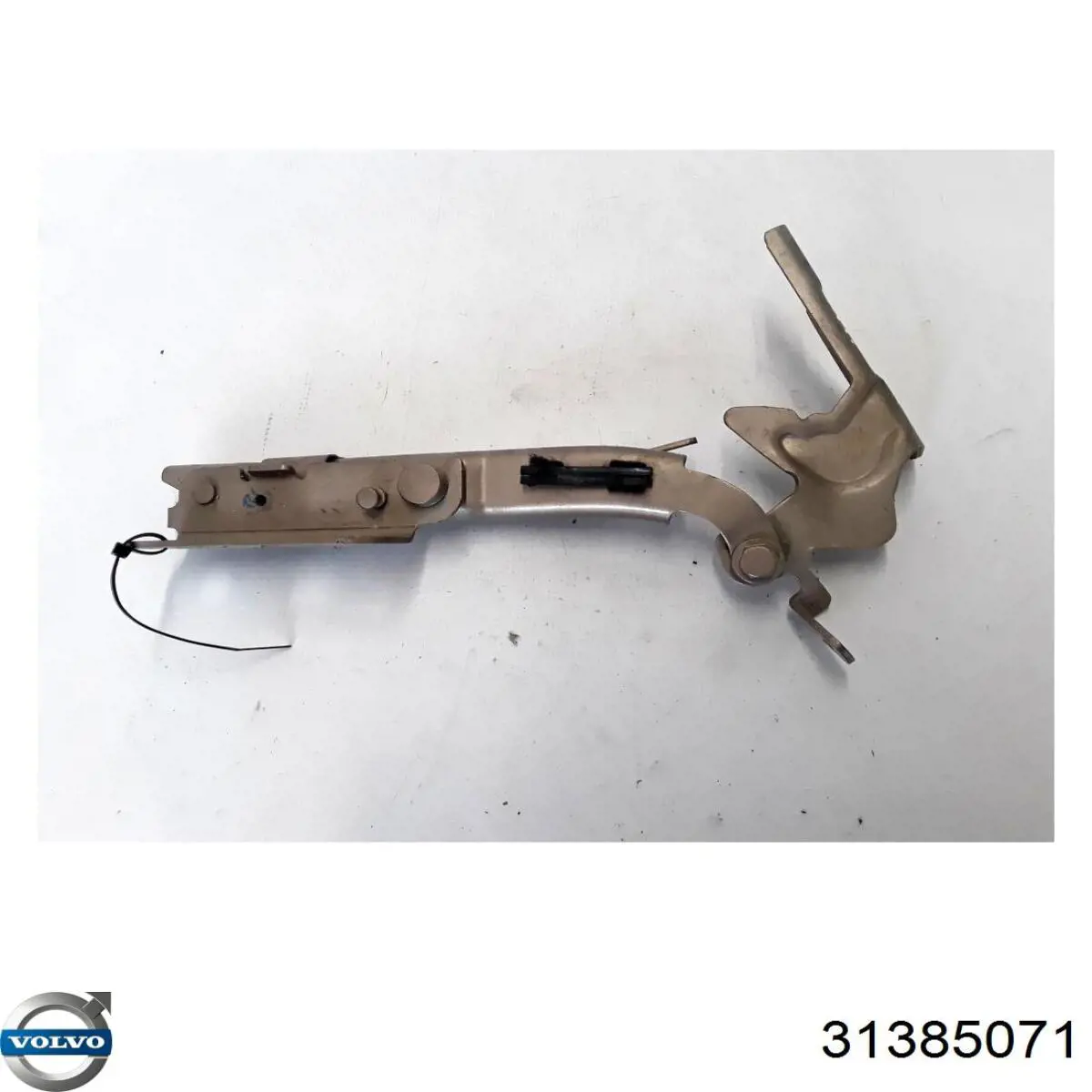 Петля капота, левая Volvo 31385071 цена, от 42.18 USD