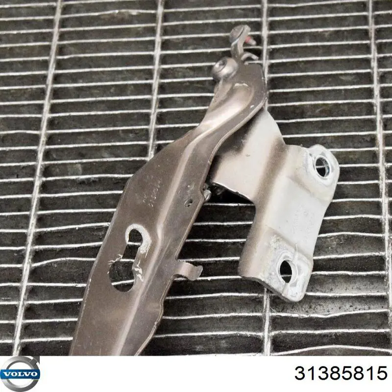 Купить 31385815 Volvo Завеса капота правая