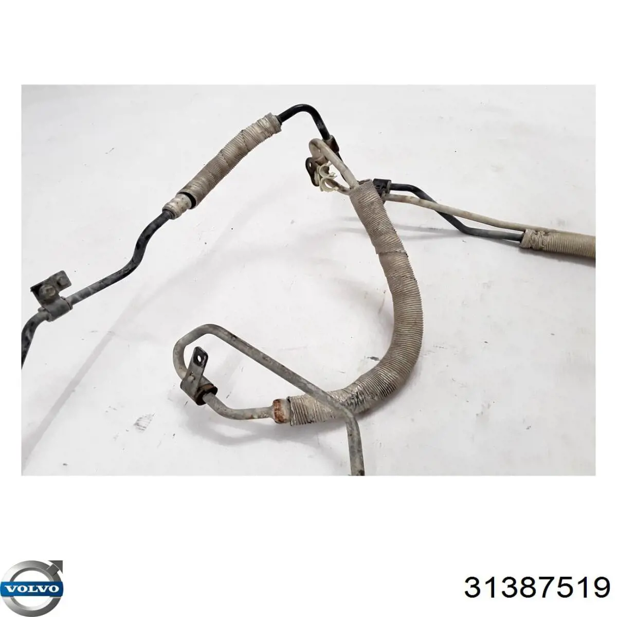 Купить 31387568 Volvo 