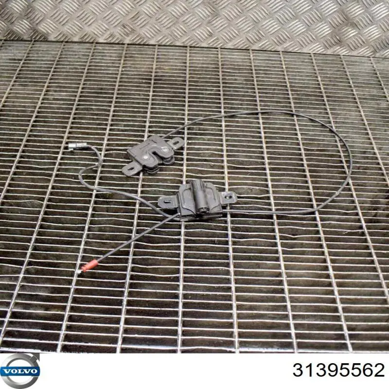 Купить 31395562 Volvo 