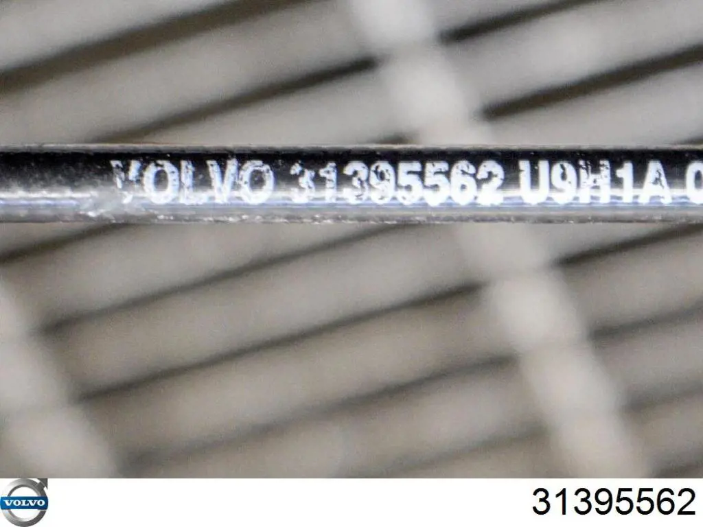  Volvo 31395562 цена, от 100.25 USD