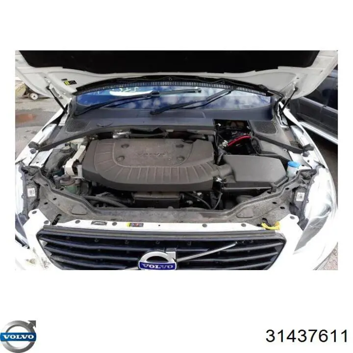Купить 31437611 Volvo Кардан задний