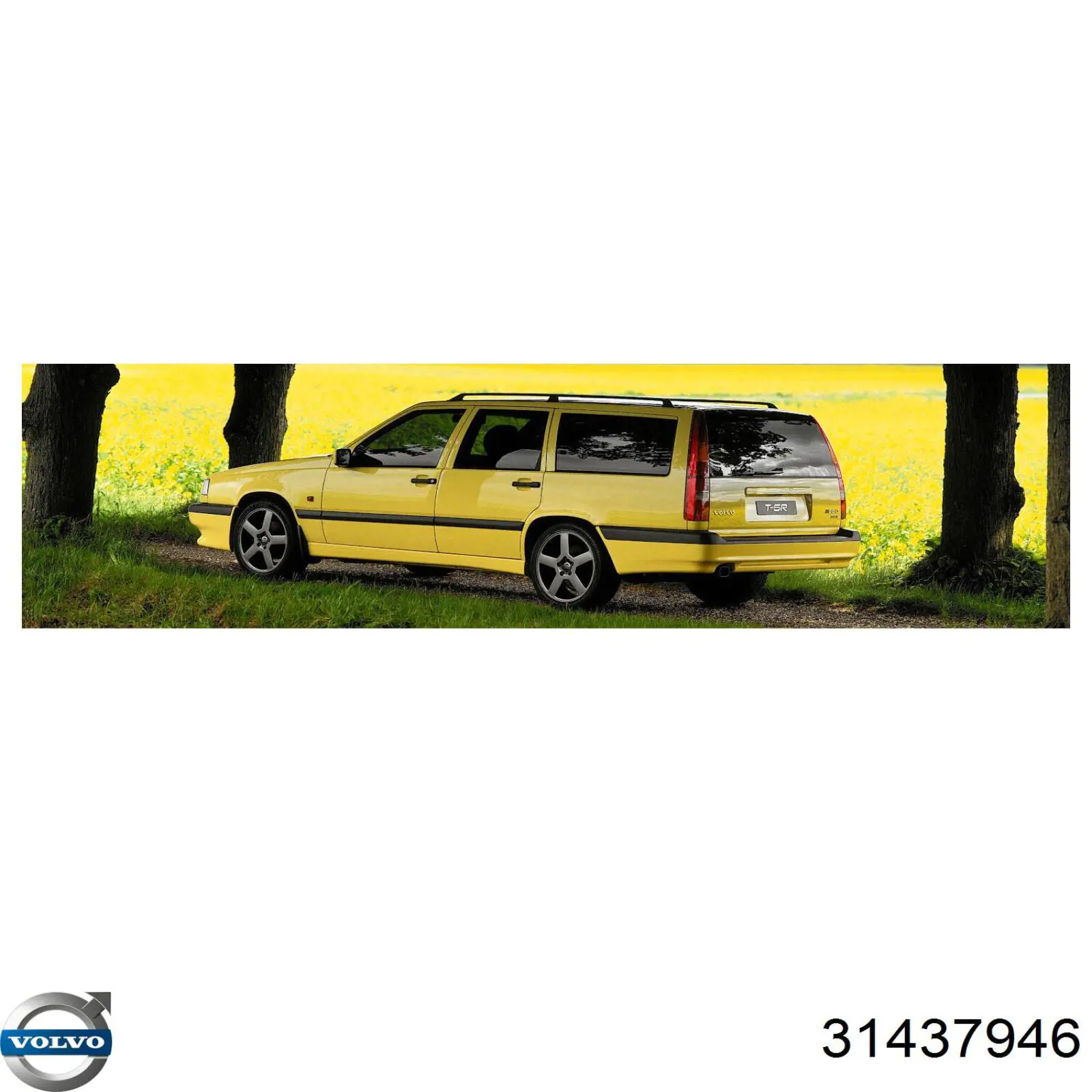 Купить 31437946 Volvo Масло АКПП