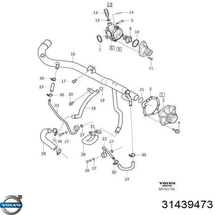 30751747 Volvo tubo (mangueira do radiador de óleo, de pressão alta)