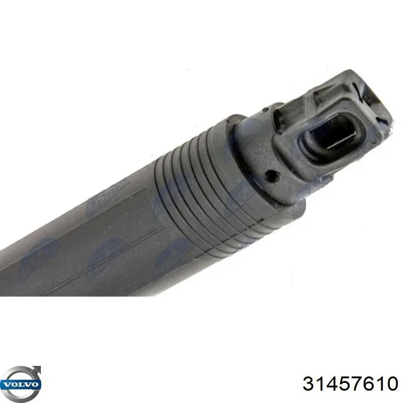 Amortecedor de tampa de porta-malas (de 3ª/5ª porta traseira) 31371096 Volvo