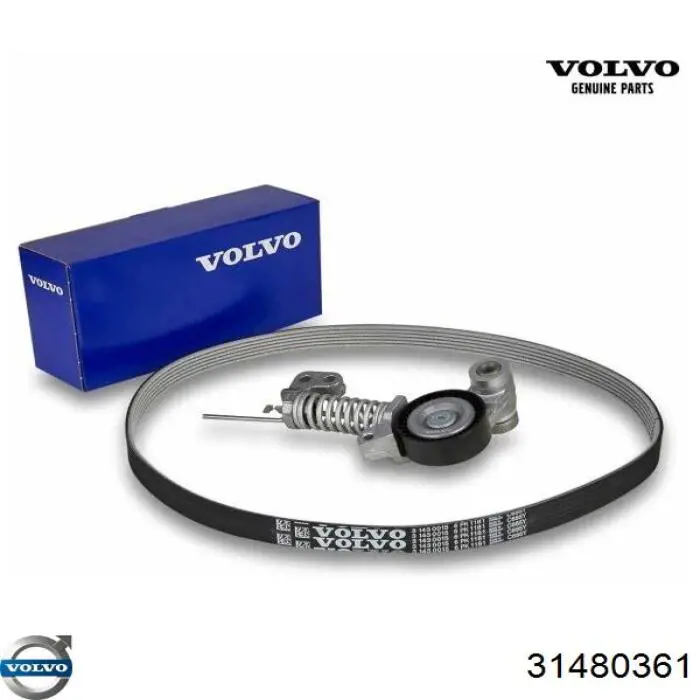 31480361 Volvo Ремень приводной, комплект
