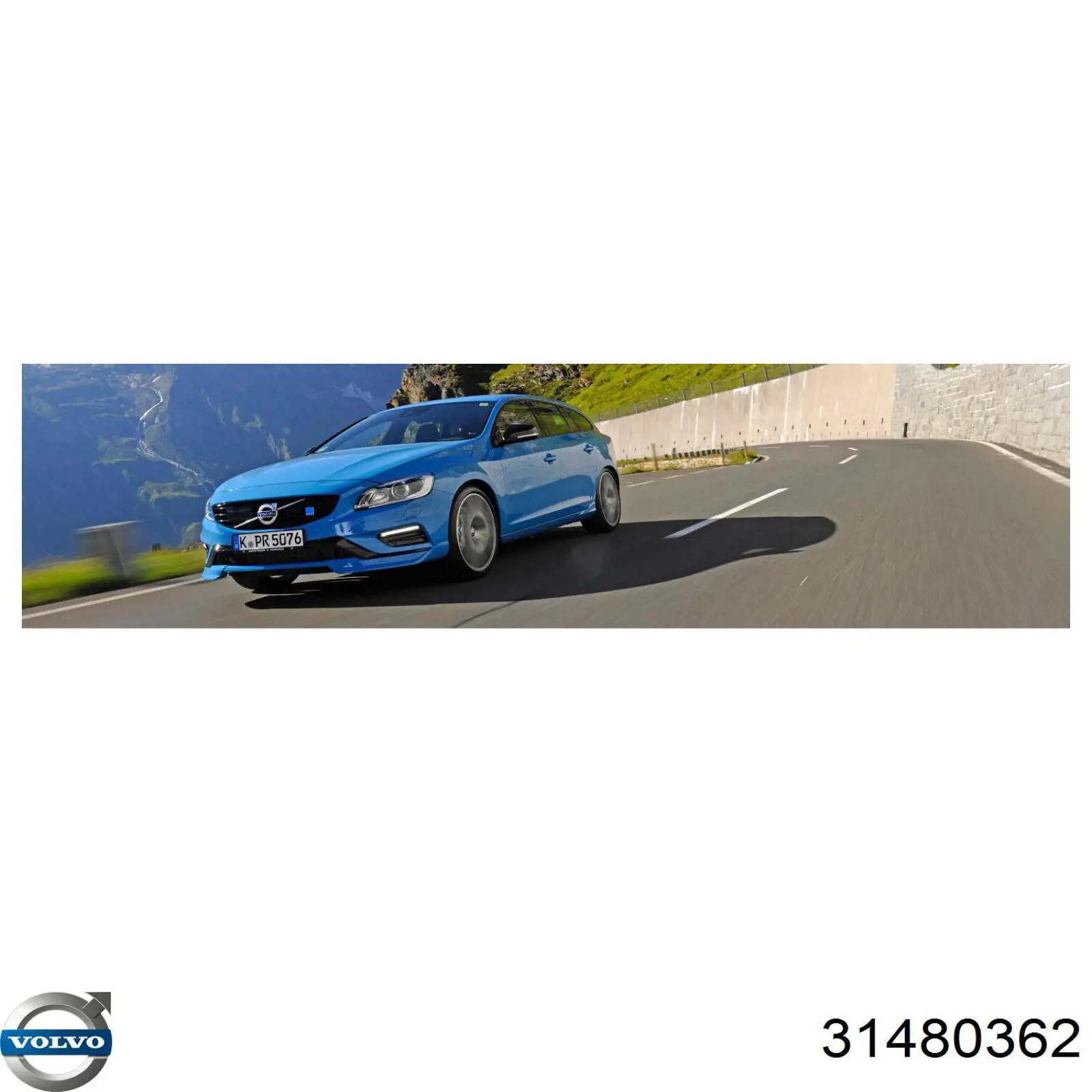 Купить 31430187 Volvo Ремень приводной