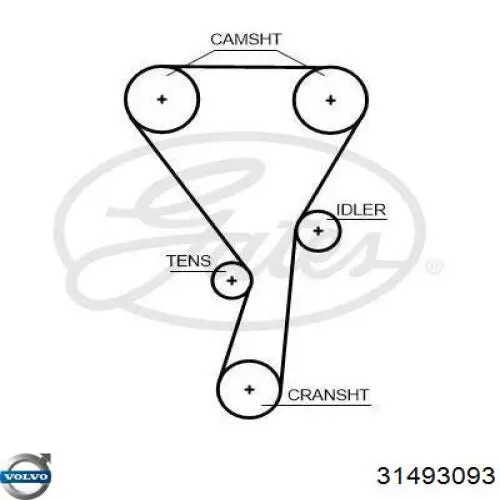 31493093 Volvo rolo de reguladora de tensão da correia do mecanismo de distribuição de gás