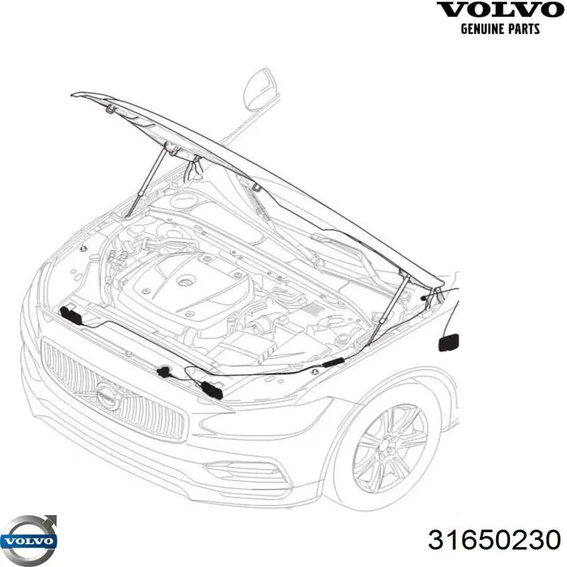  Volvo 31650230 цена, от 45.15 USD