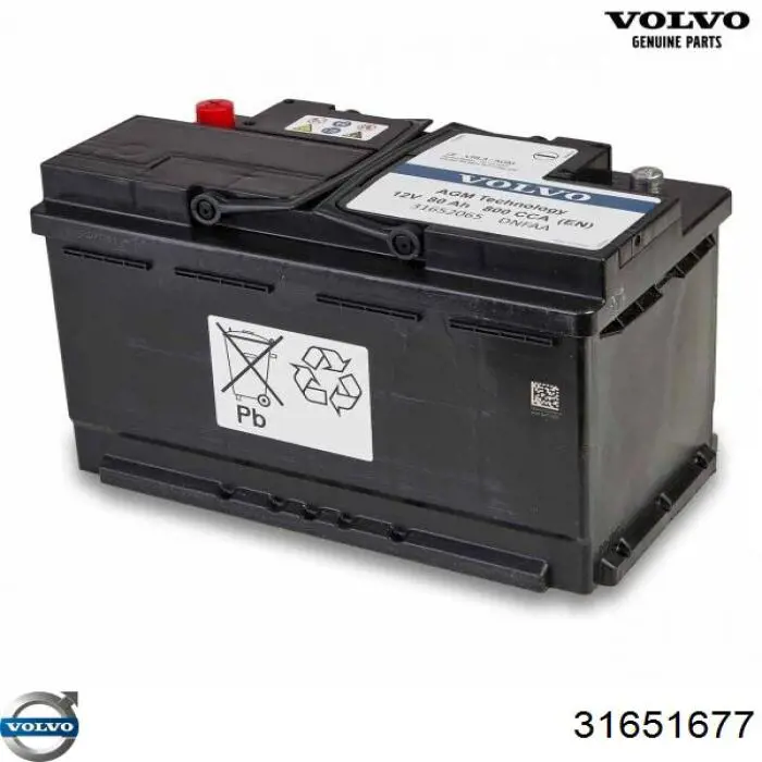 Купить 31651677 Volvo Крыло переднее левое