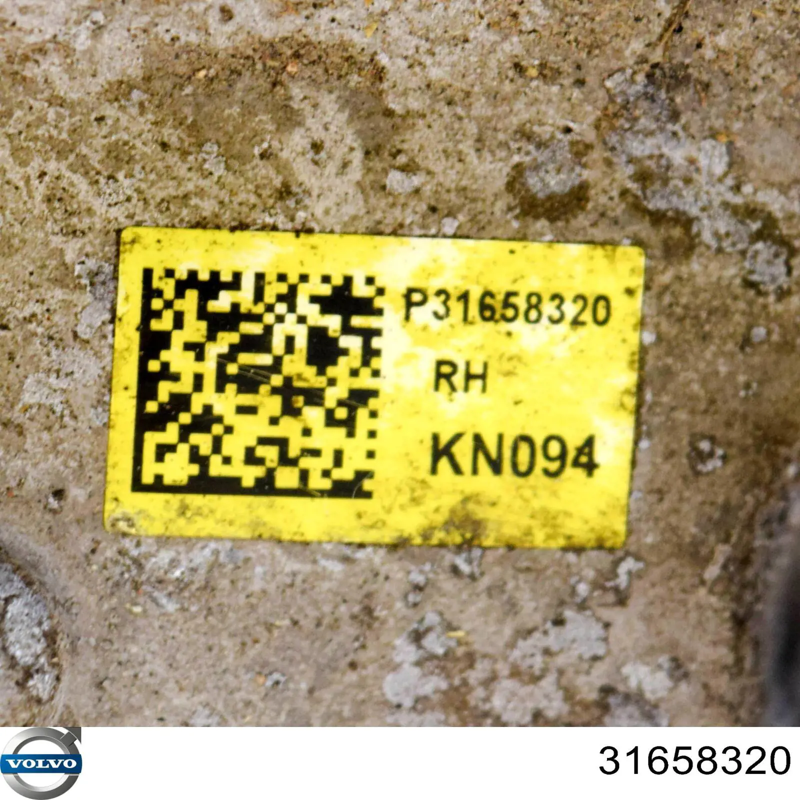 Купить 31658320 Volvo Цапфа - поворотный кулак задний, правый