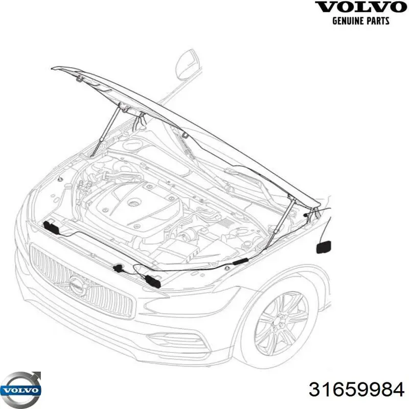 Купить 31659984 Volvo 