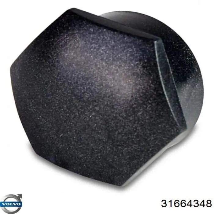 31664348 Volvo 