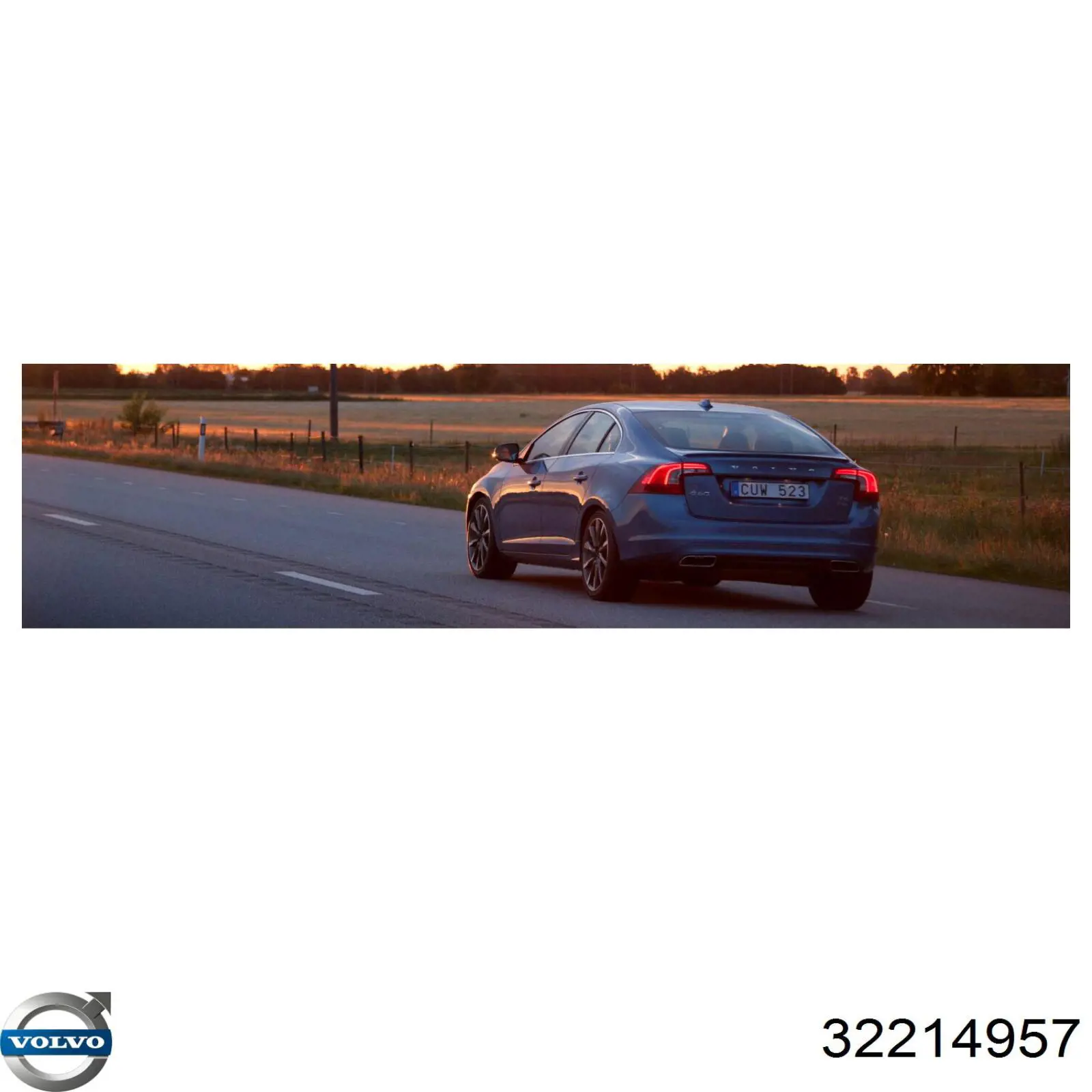 Тормозная жидкость 32214957 Volvo
