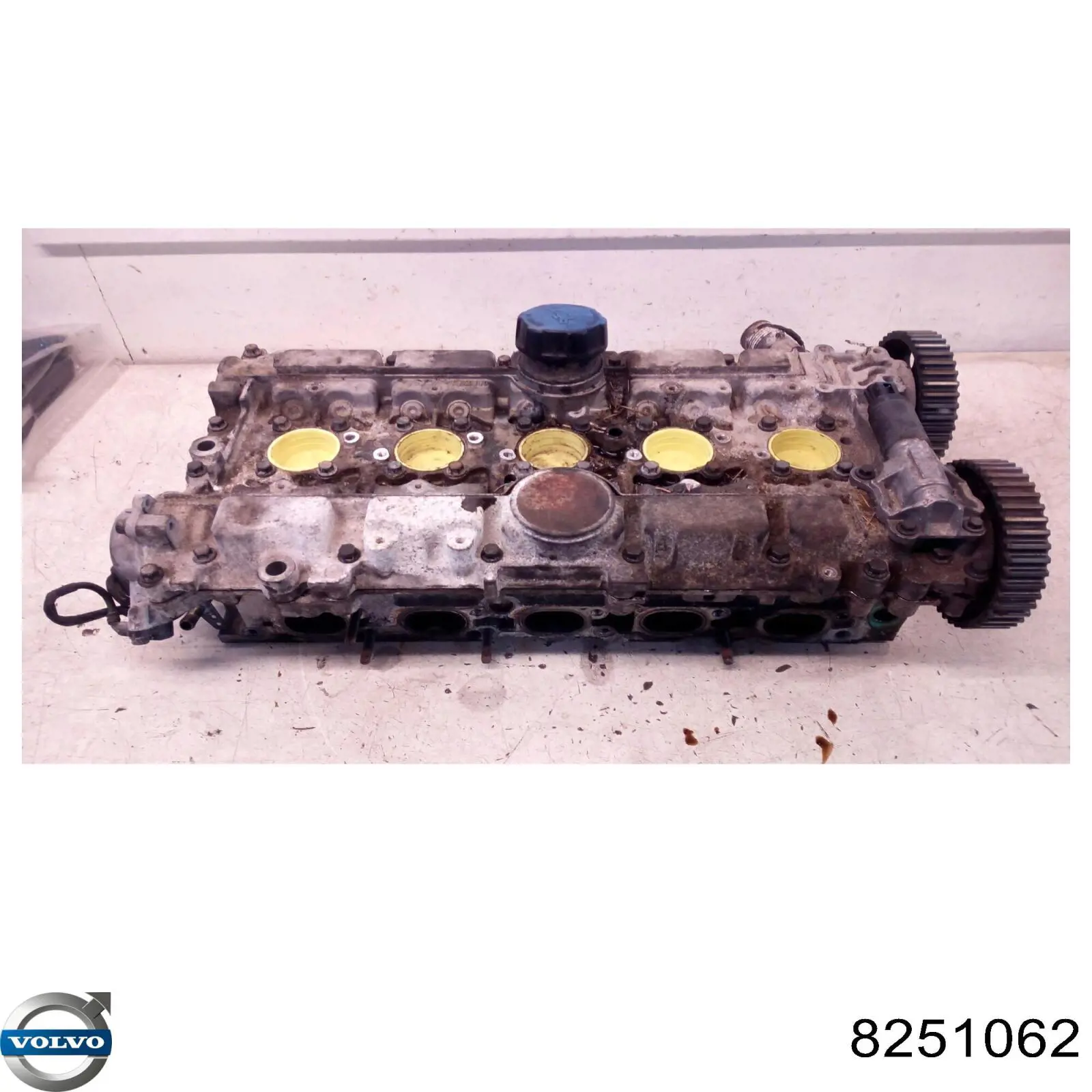 8251062 Volvo Головка блока цилиндров