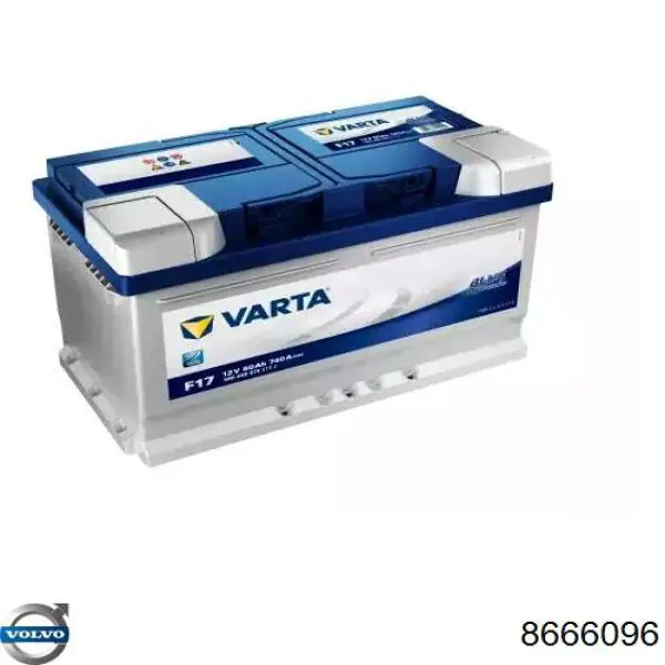  8666096 Volvo