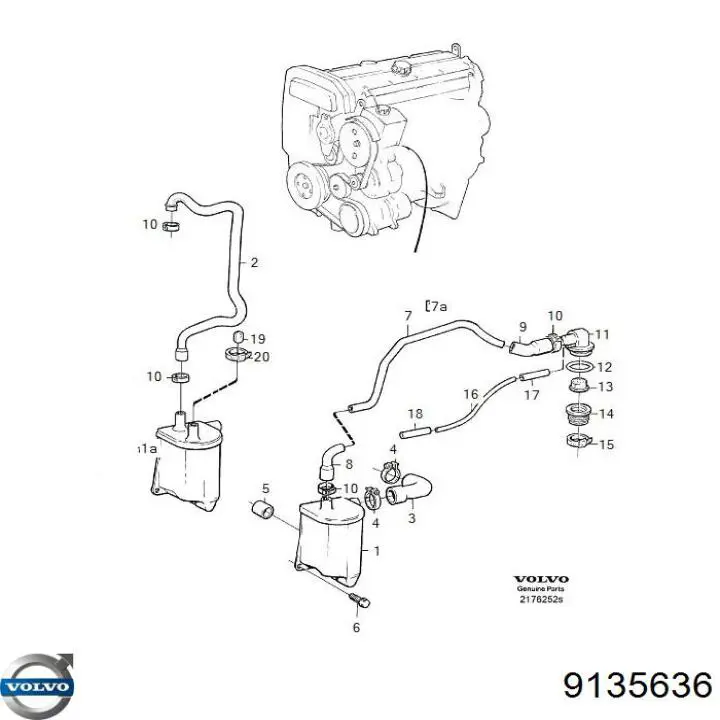 9135636 Volvo 