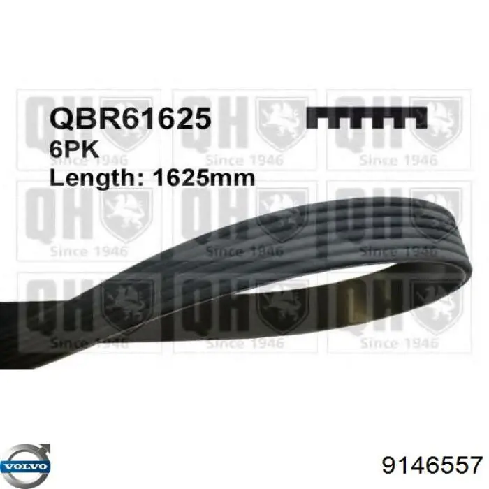 Купить 9146557 Volvo Ремень генератора