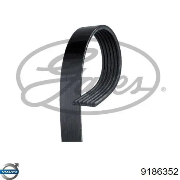 9186352 Volvo Поликлиновый ремень