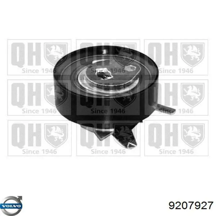 Купить 9207927 Volvo Ролик натяжителя ремня ТНВД