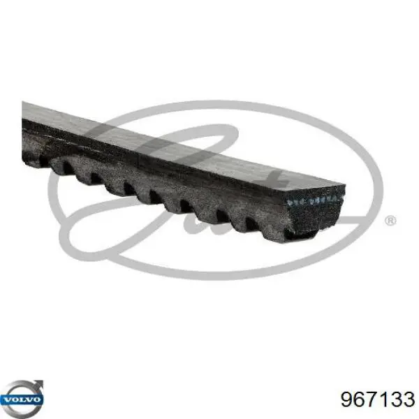 967133 Volvo Поликлиновый ремень