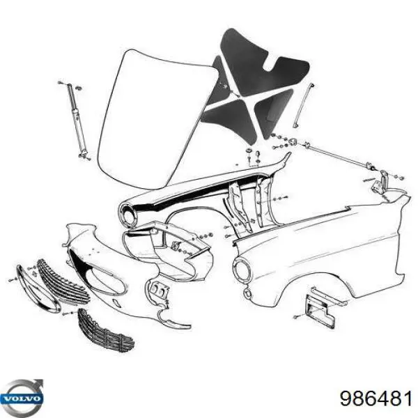 Купить 986481 Volvo Гайка крепления приемной трубы глушителя (штанов)