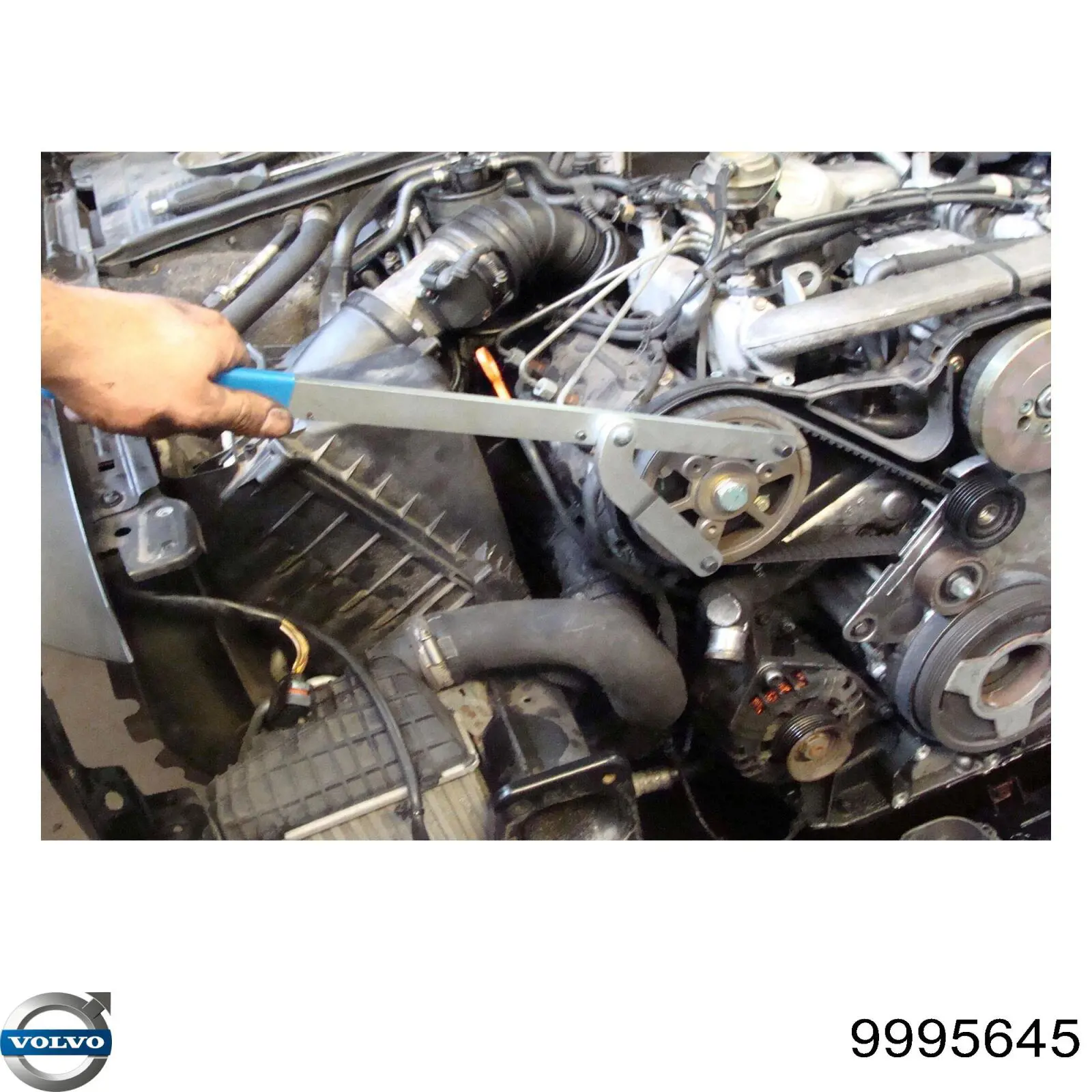  Volvo 9995645 цена, от 119.62 USD