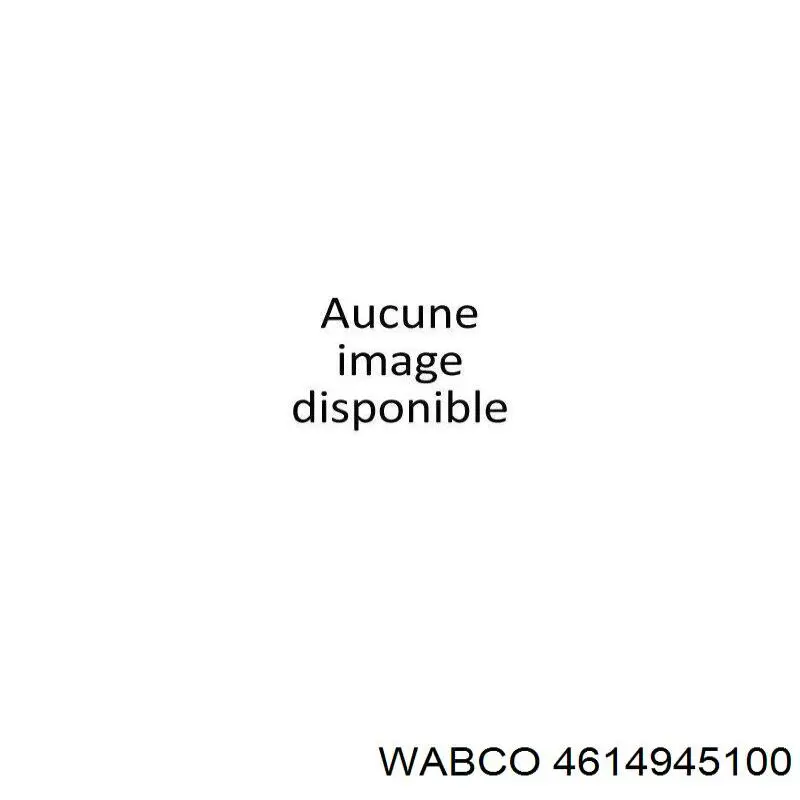 4614945100 Wabco 