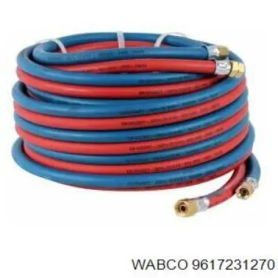 Кран стояночного тормоза Provia PRO6450050
