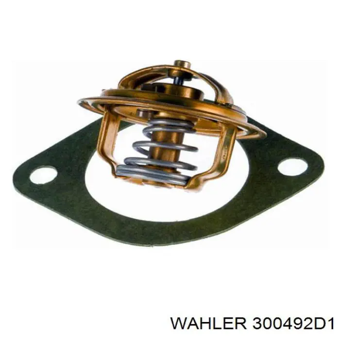 300492D1 Wahler
