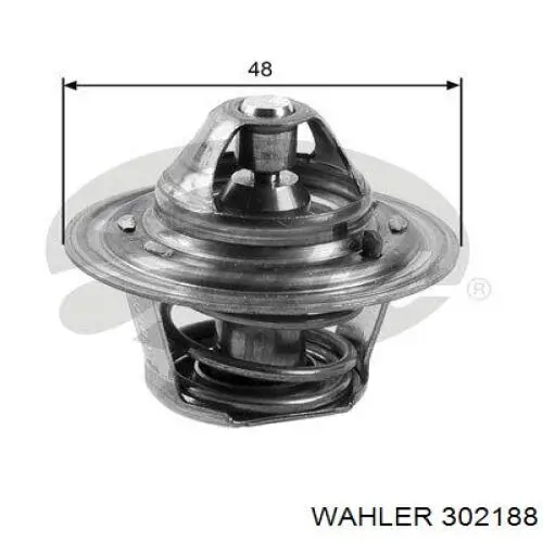 Termostato, refrigerante 302188 Wahler