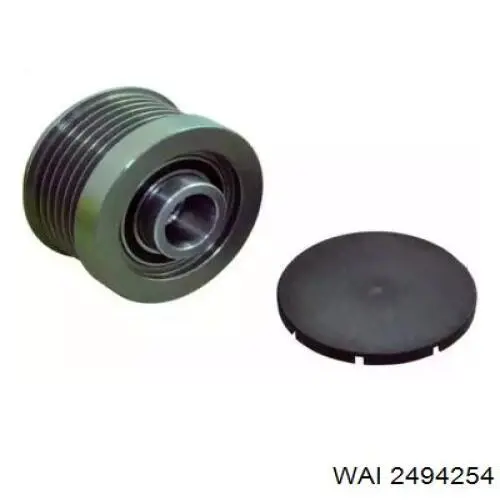 2494254 WAI