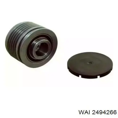 2494266 WAI