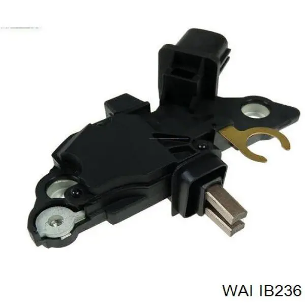 IB236 WAI