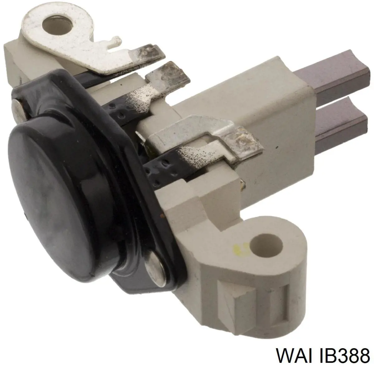 IB388 WAI