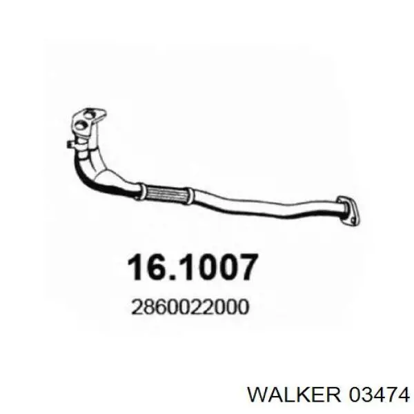  03474 Walker