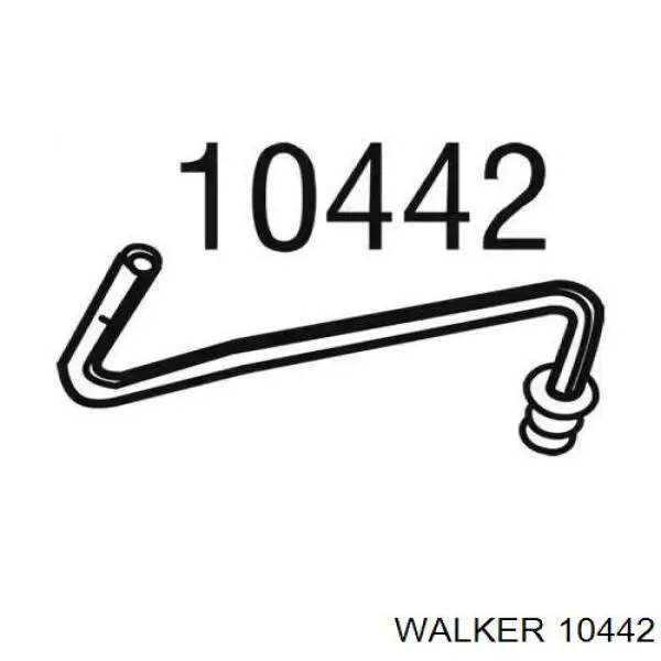  10442 Walker