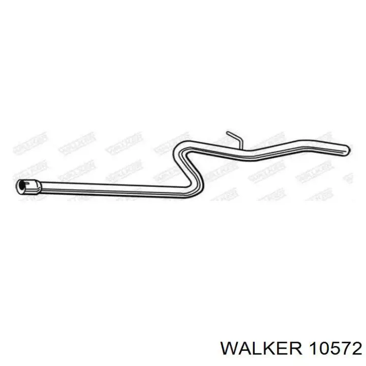  10572 Walker