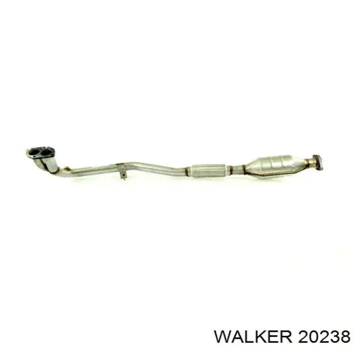  20238 Walker